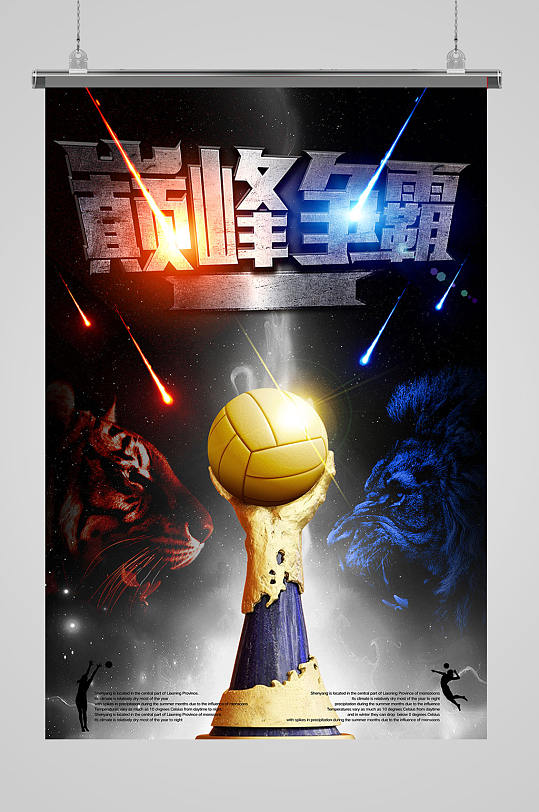 技术流与激情碰撞，排球决赛再创新高的简单介绍