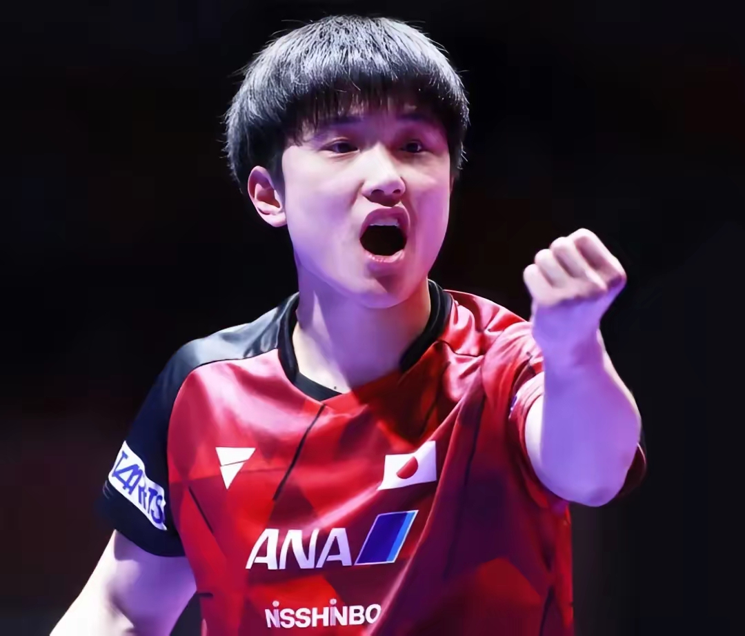 包含奥地利队轻取日本队，张本智和高光表现的词条