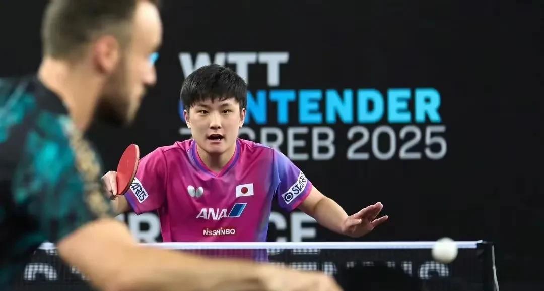 包含奥地利队轻取日本队，张本智和高光表现的词条