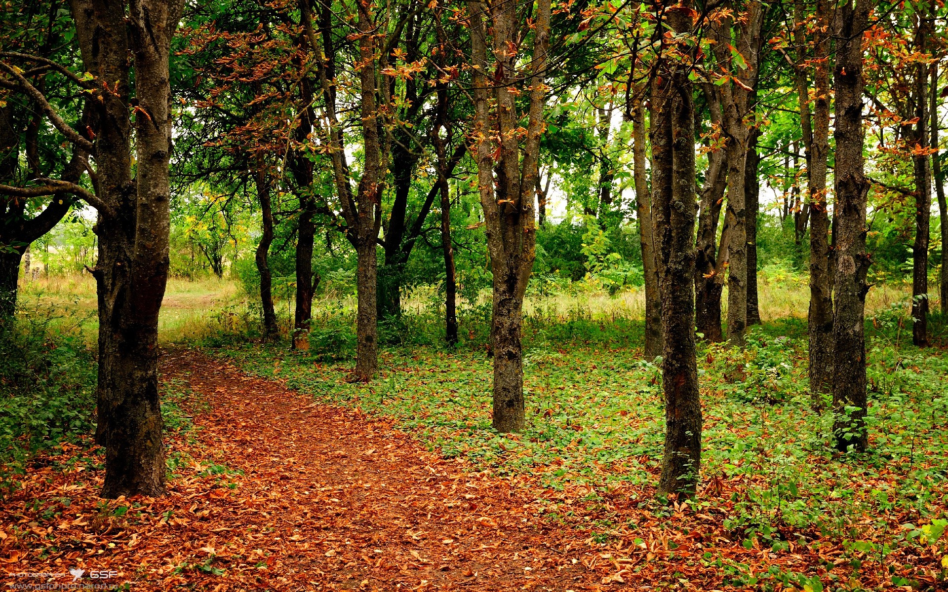当魔术师降临伯纳乌，哈弗茨用阿根廷画笔，在皇马的白墙上涂抹幻梦