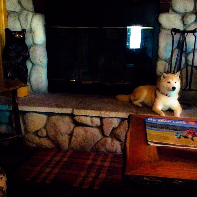 新秩序降临,索伯上演大卫扳倒歌利亚,诺里斯在乱世中加冕稳定先生