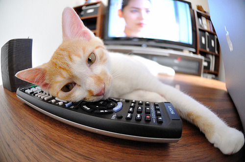 欧冠新秩序，勒沃库森铁血力克丹麦劲旅，罗德里戈于无声处听惊雷