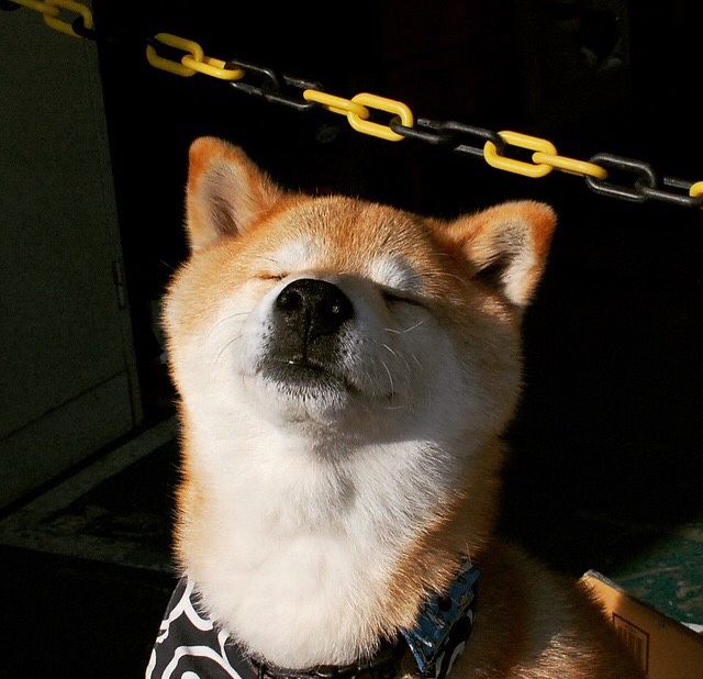 双重隐喻,伊拉克力克瑞士,拉什福德节奏完全掌控