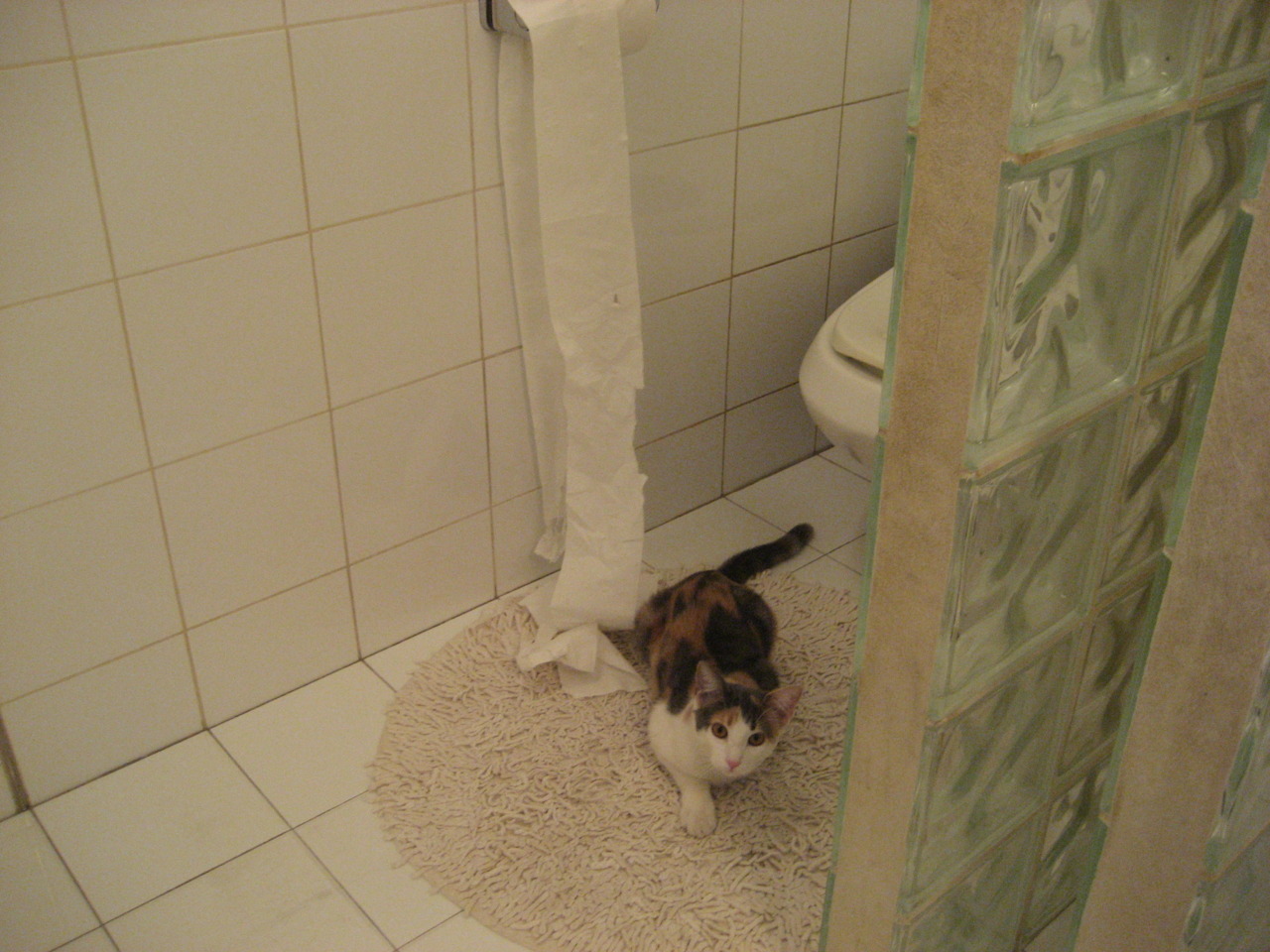 掌控的艺术，从佩德里的手术刀到南非的钢铁洪流—绿茵主宰的两种维度