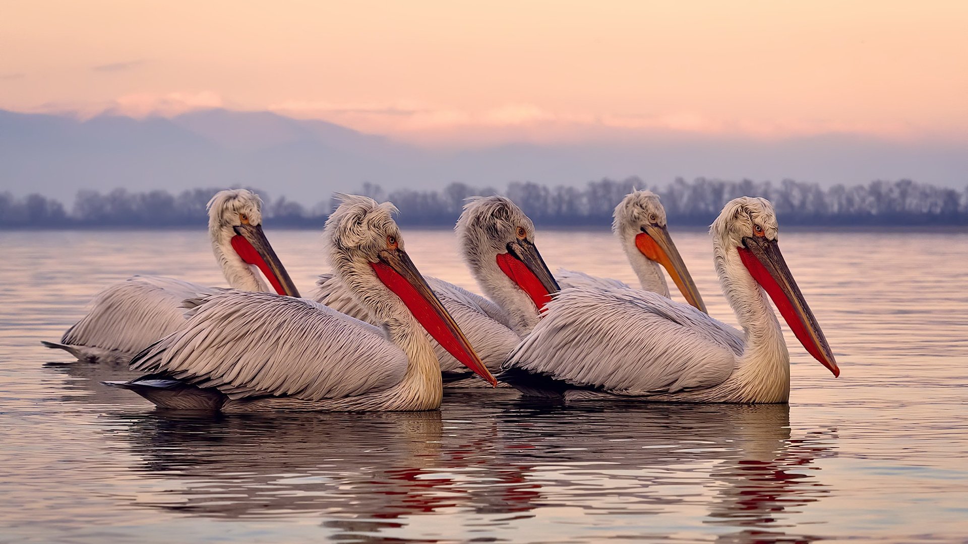 冰与火之歌,当哈登的火焰点燃末节,森林狼的寒冰已锁死太阳
