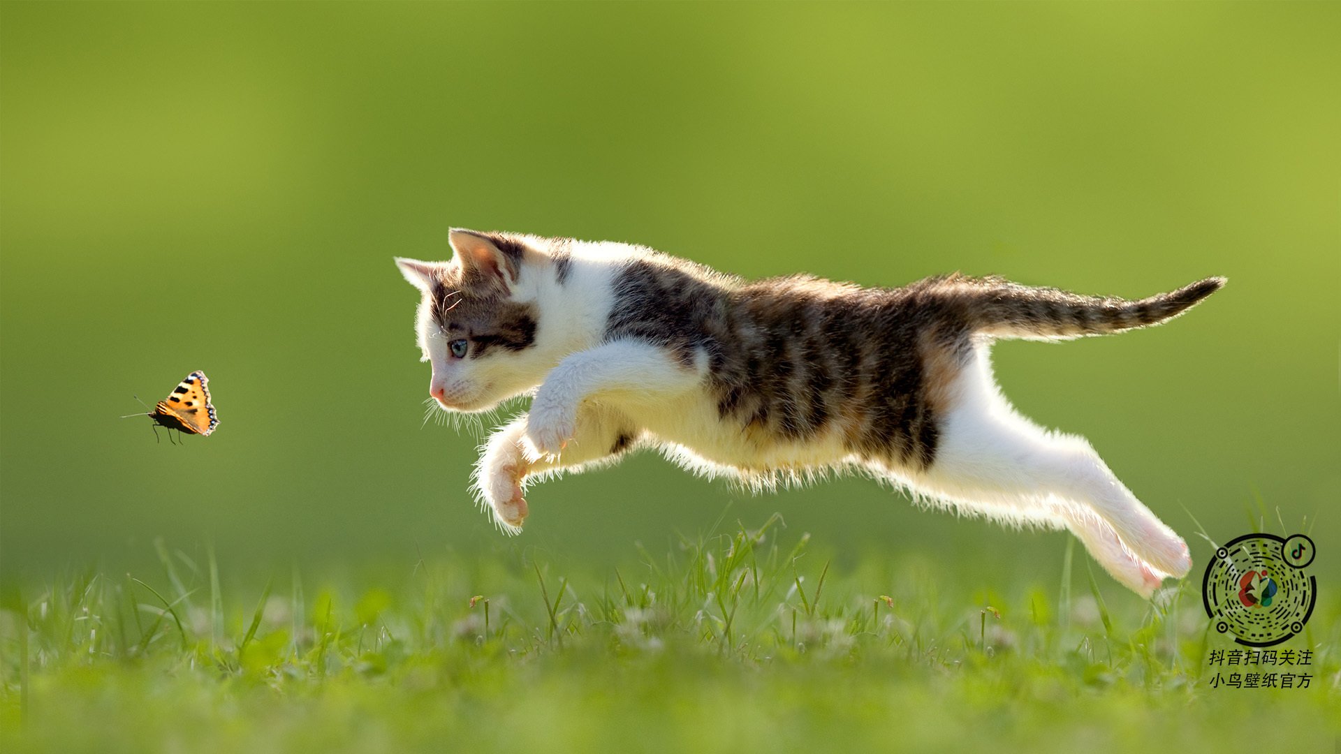 数据之魅,当皇家社会的算法遇见哥斯达黎加的韧性—论斯通斯赛后评分拉满的跨学科启示