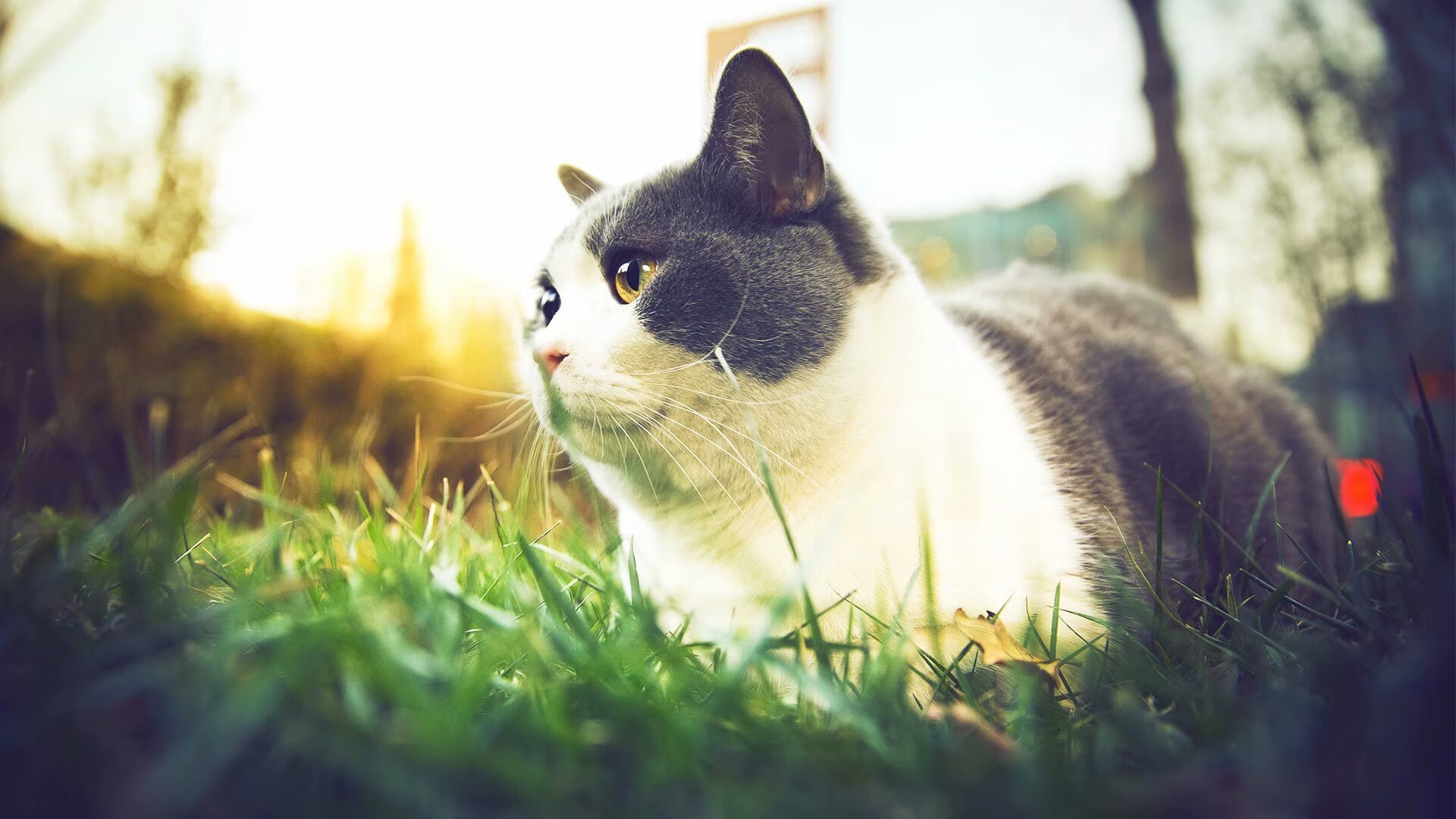 绿军之光与复苏之矢,当团队铁壁遇见个人觉醒