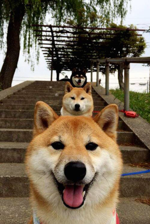 山西凿穿吉林,戈贝尔筑起的黄土高坡新长城