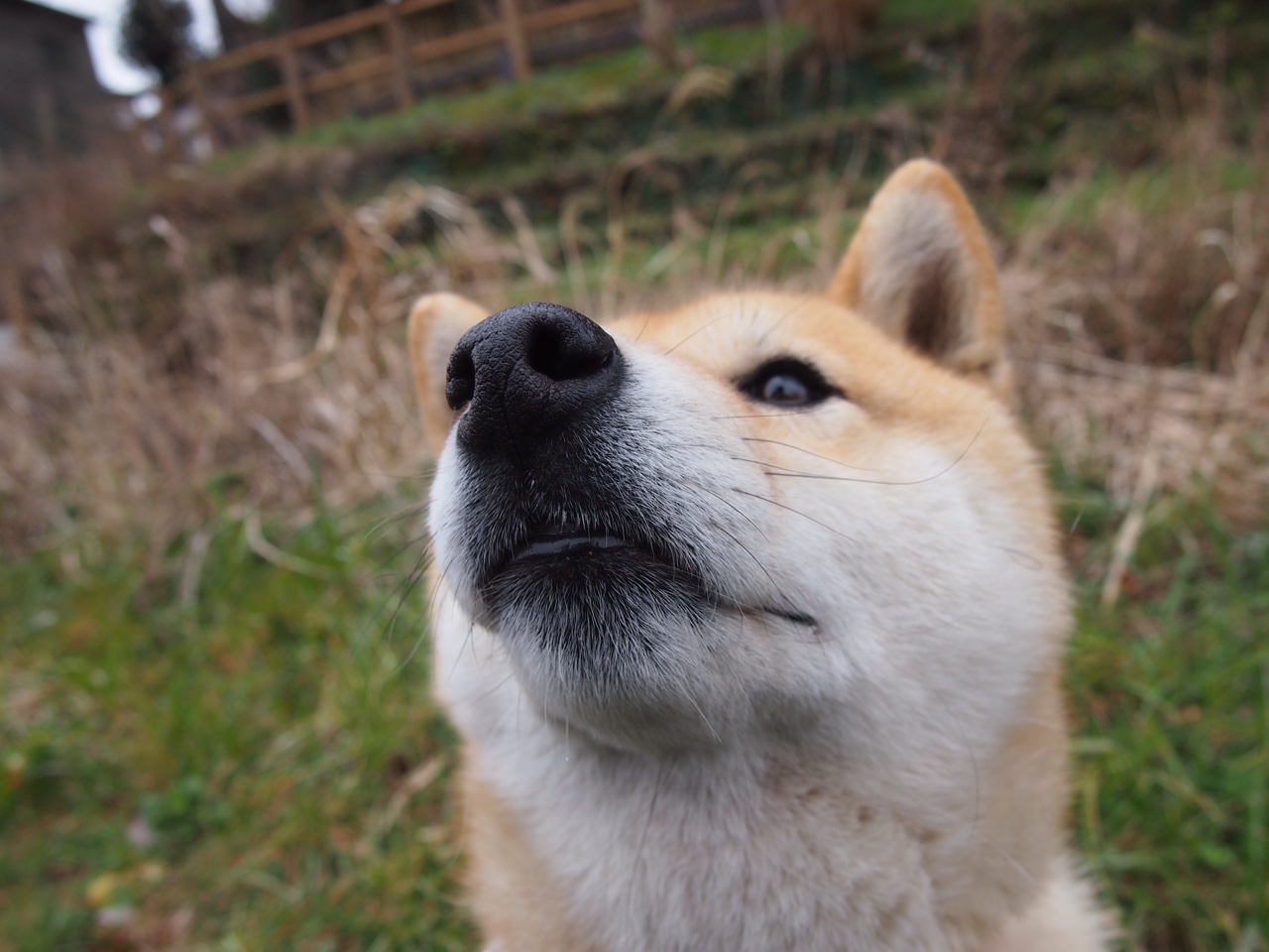 西域雄鹰展翅!新疆队108-88活体拆解山西,马克西化身关键之锁