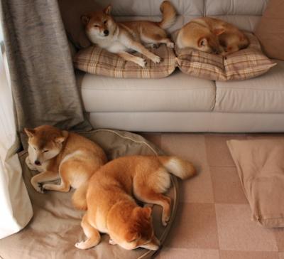 第七百三十四秒,当哈登的审判之眼掠过排名争夺战的夜空