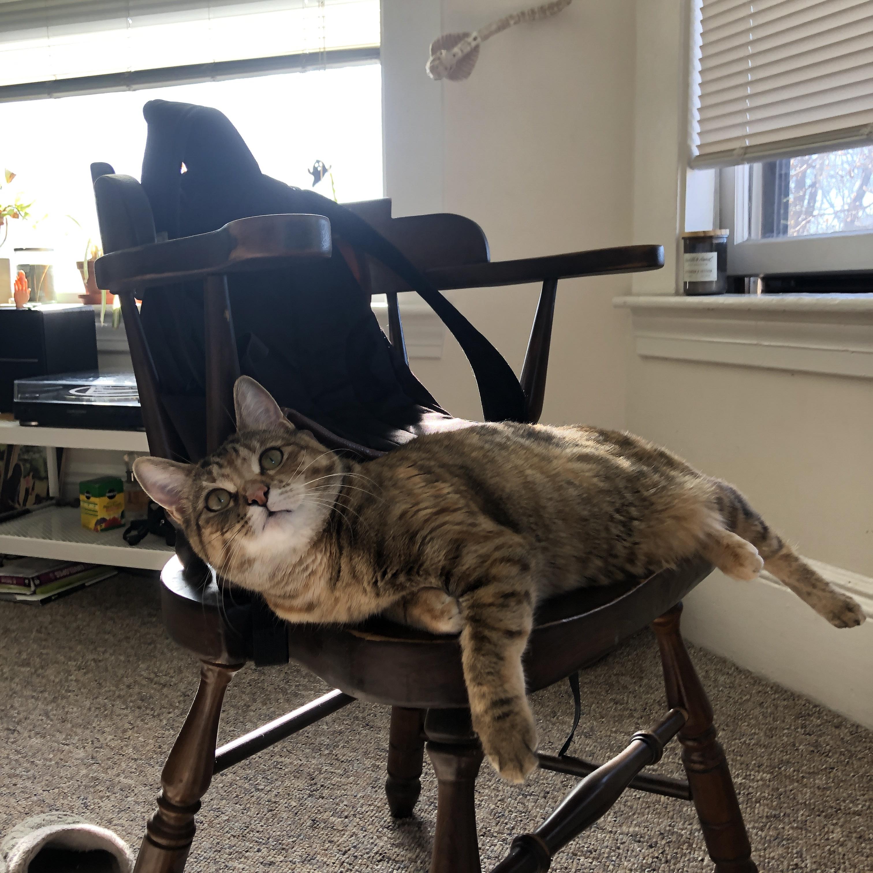 秘鲁国奥对阵皇家贝蒂斯，日本铁卫富安健洋的意外统治力