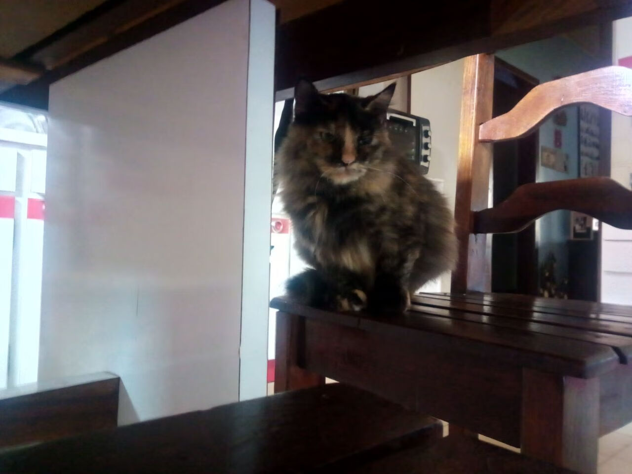 个人神迹与团队险胜，篮球时代裂缝中的双重奏