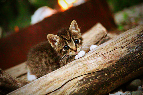 铁血囚笼与魔法时刻，当马竞的封锁遇上穆勒的接管