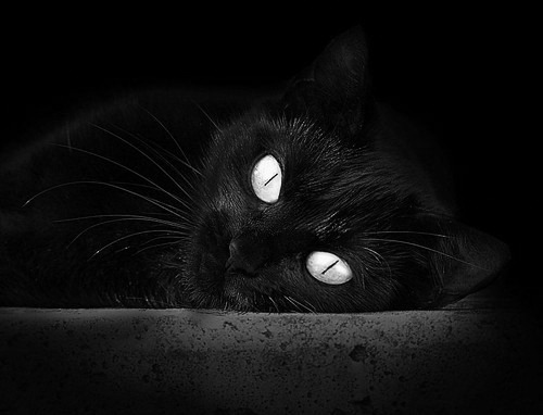 当戈壁霸主驶入摩纳哥弯道，新疆飞虎在F1街道赛猎杀国王