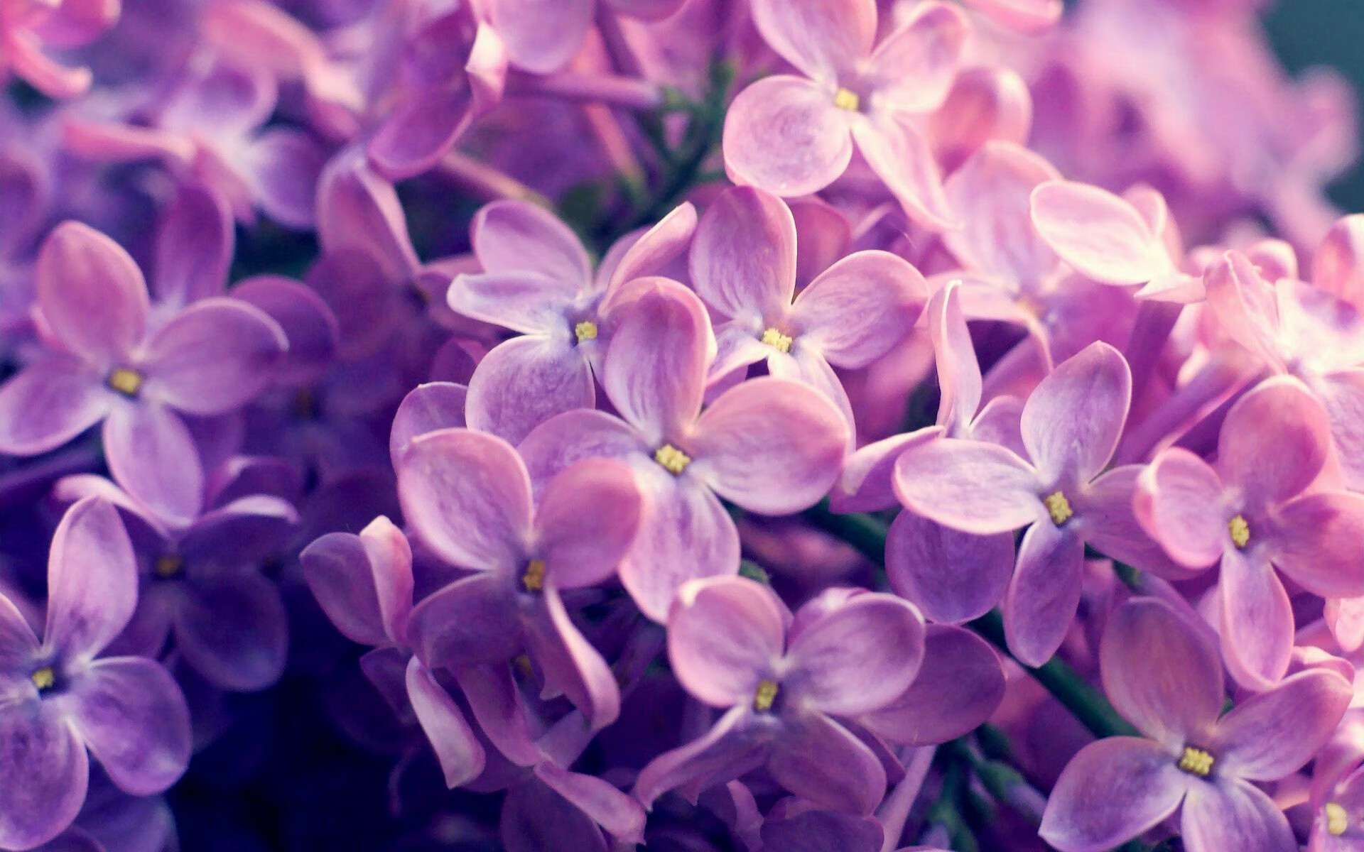 京多安化身指挥官，阿森纳客场轻取莱比锡红牛展露冠军相