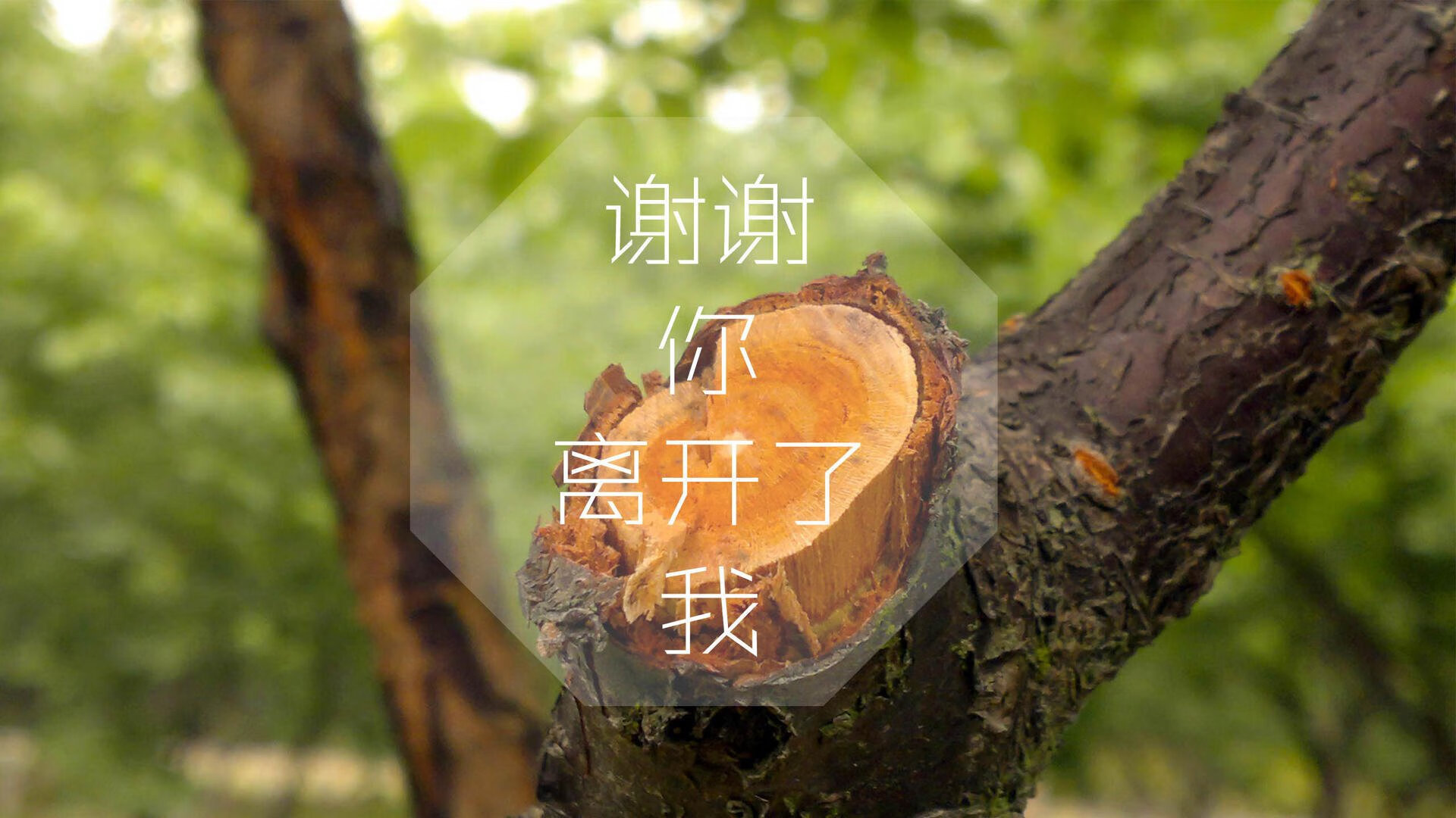 控球时代的终极绝唱,当喀麦隆的黑色闪电劈开南美坚冰,梅西的致命一击为2026世界杯B组写就唯一剧本